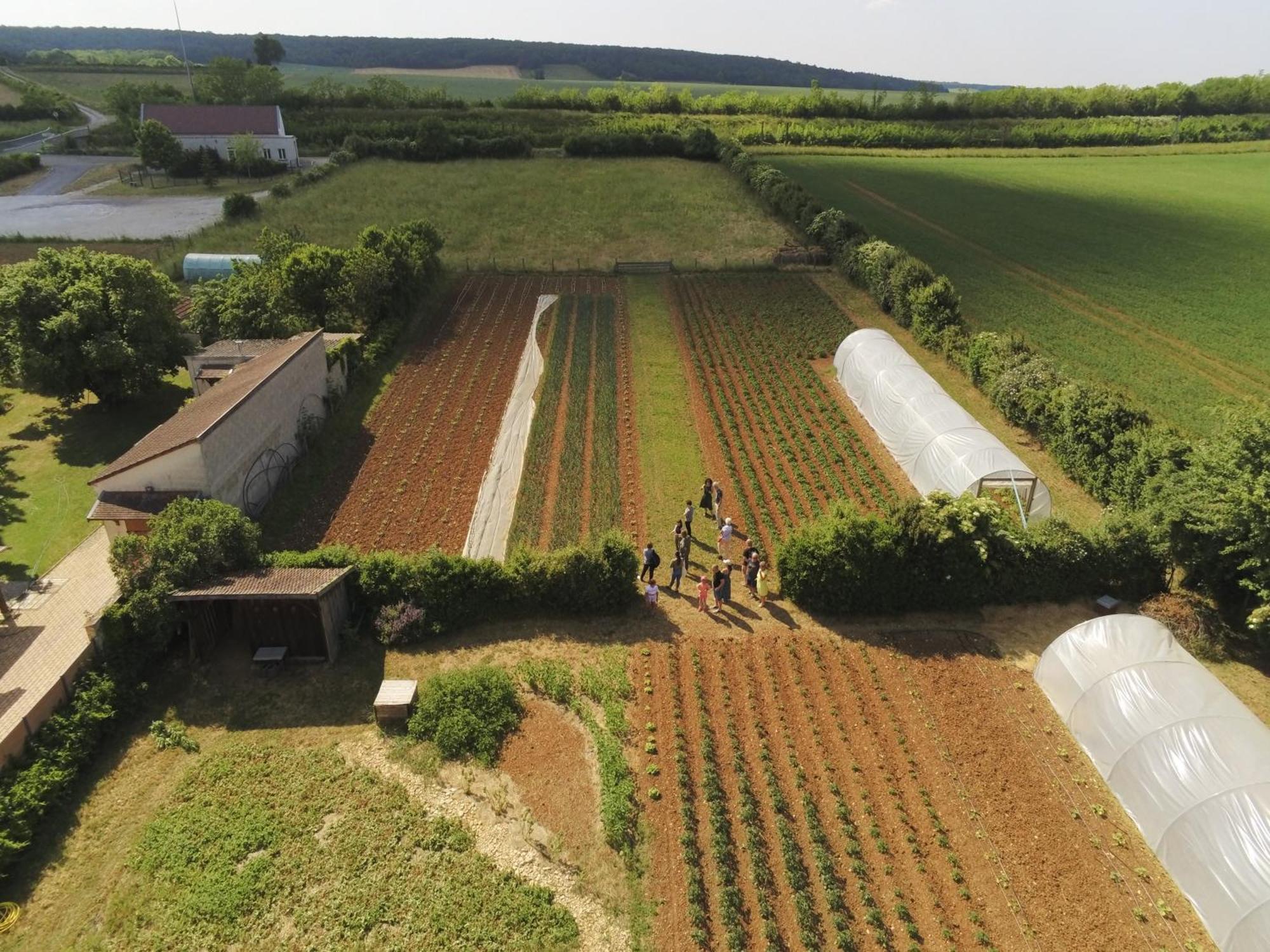 Le Concept-Studio Perrigny-sur-Armançon Exteriör bild